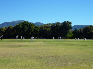 The Vineyard Ground